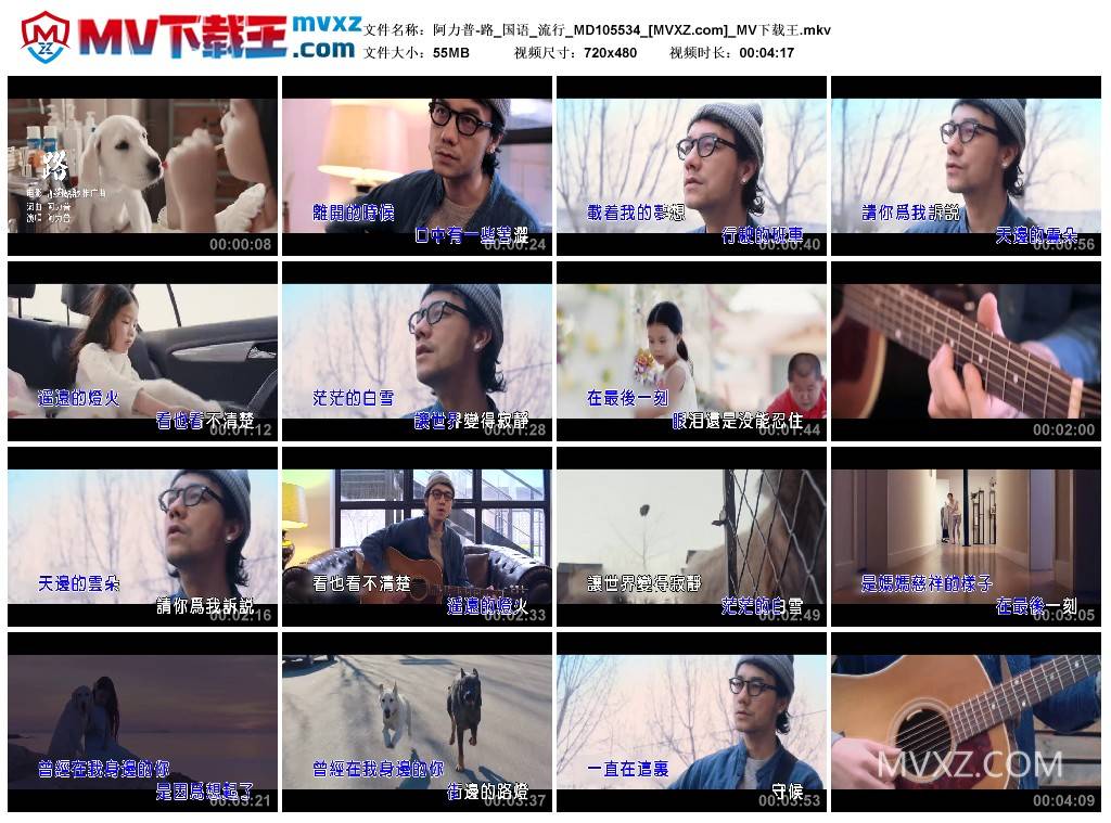 阿力普-路_国语_流行_MD105534